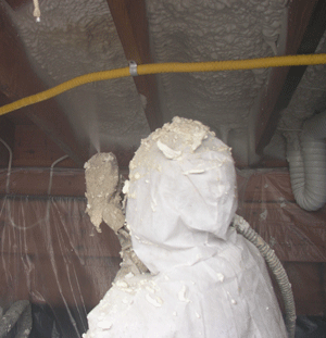 Cambridge ON crawl space insulation